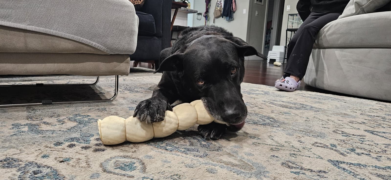 COURTESY POST: Duke