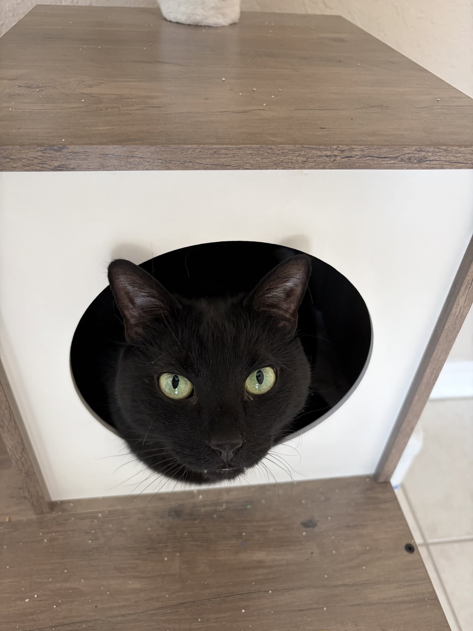 COURTESY POST: Zuko & Bumi