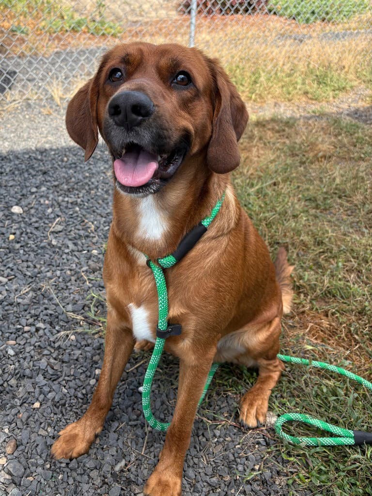 Tucker