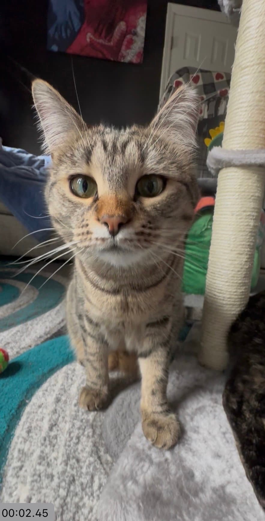 Tabatha