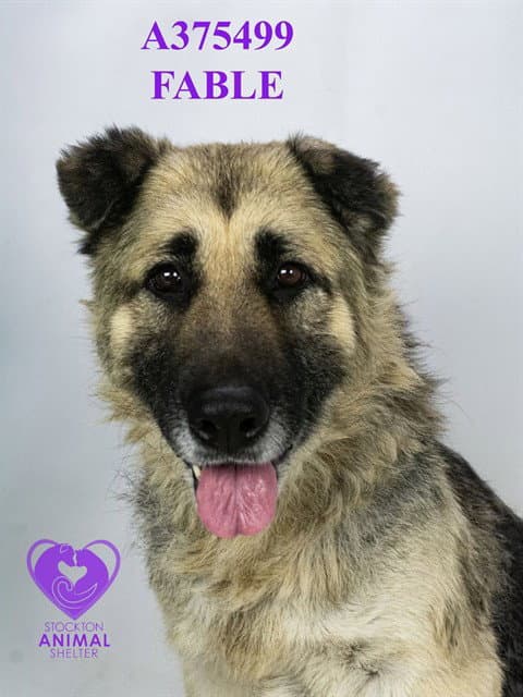 Fable