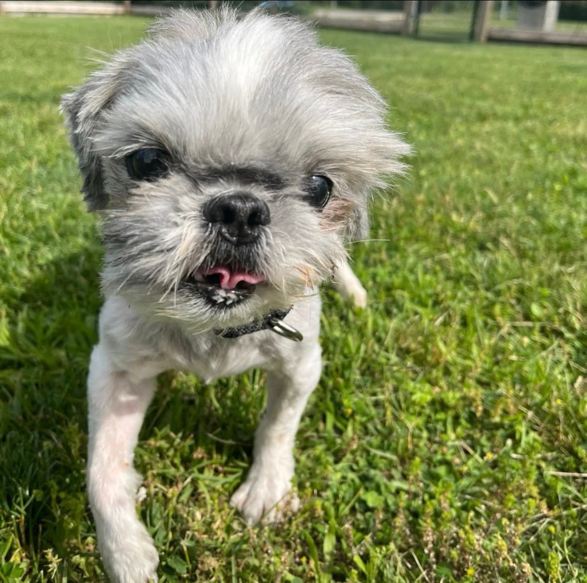 Max