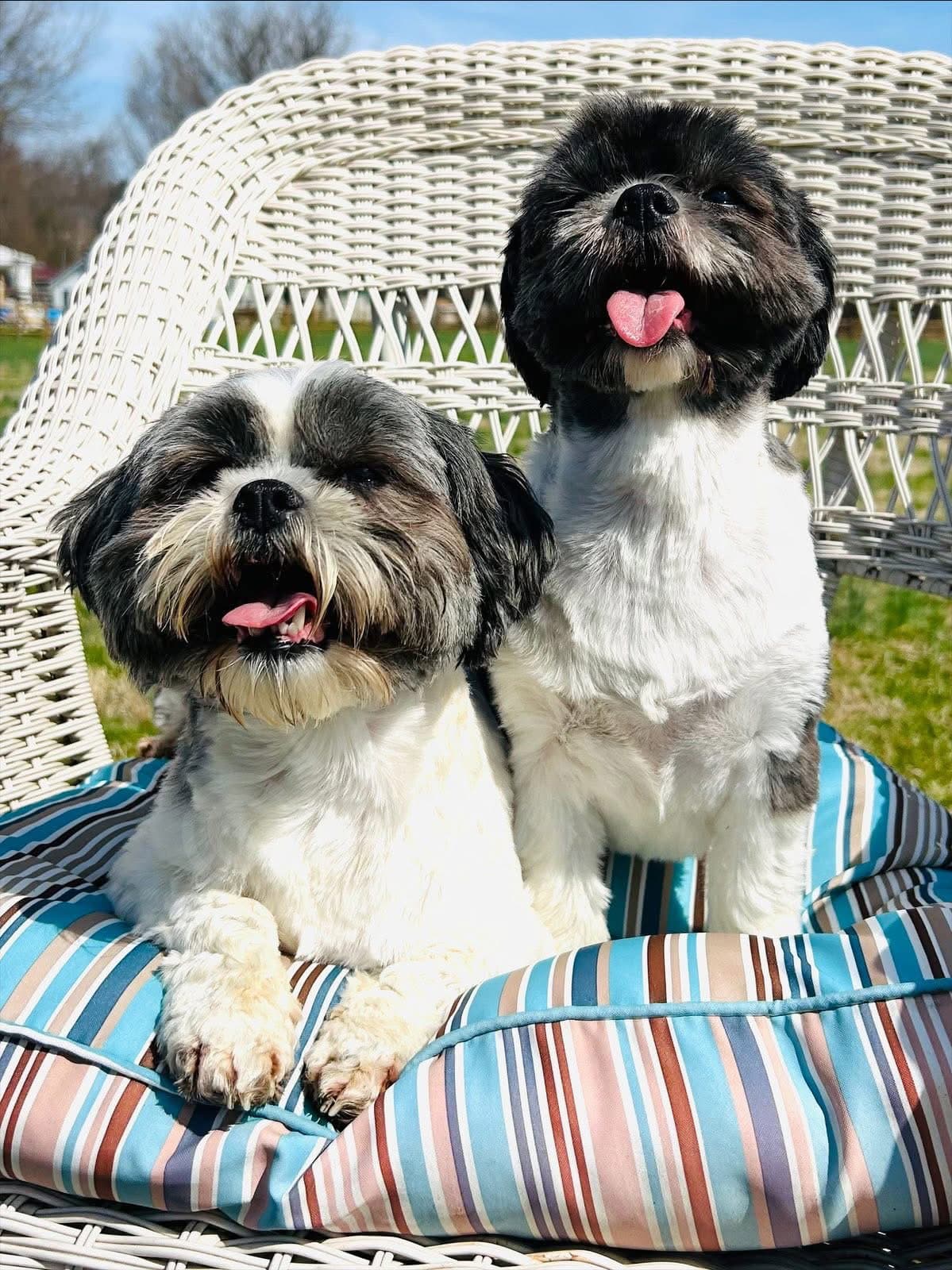 Callie & Molly