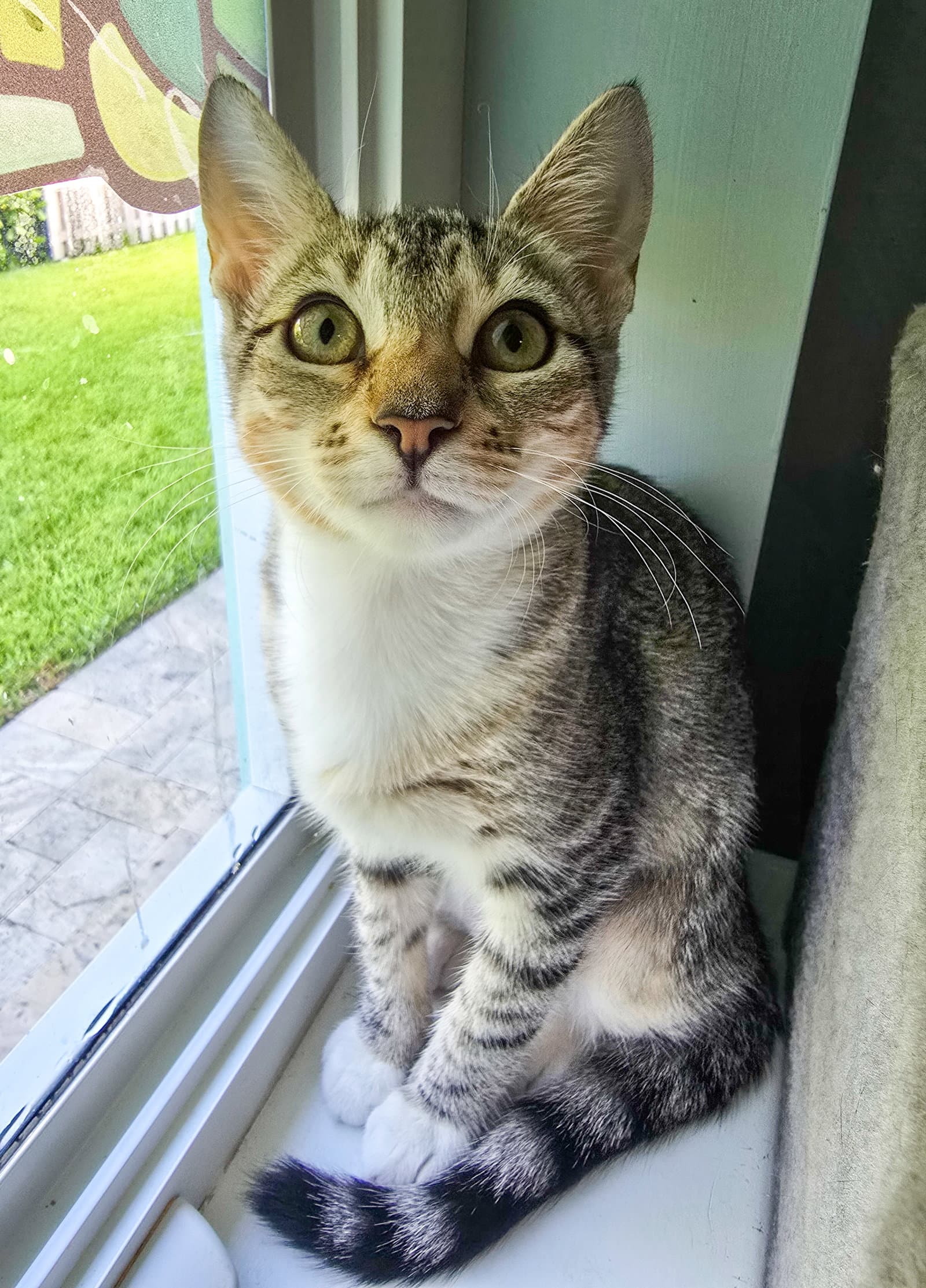 Pip