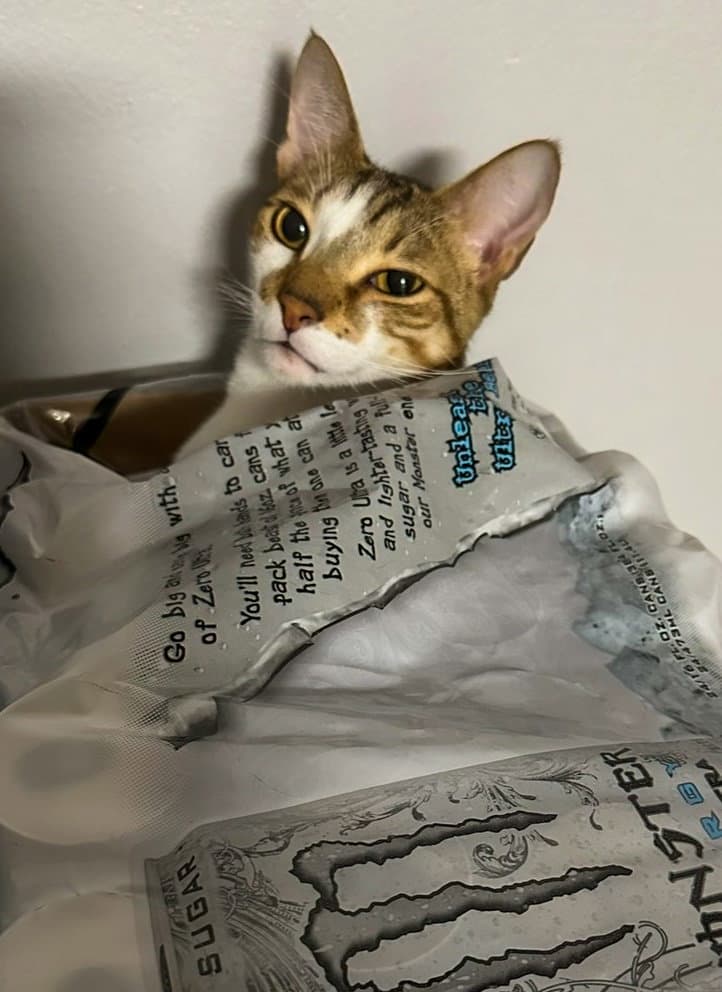 Loki
