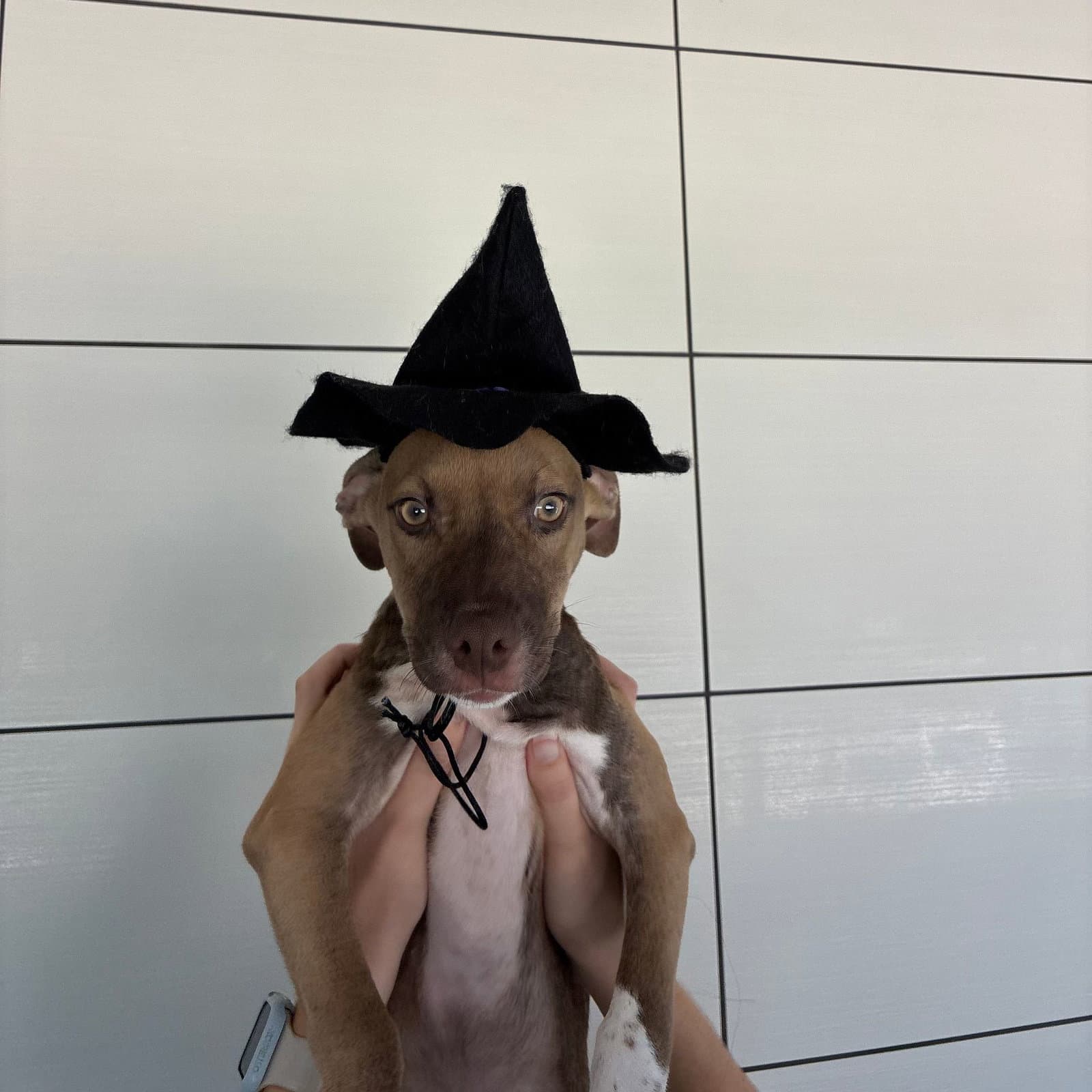 October