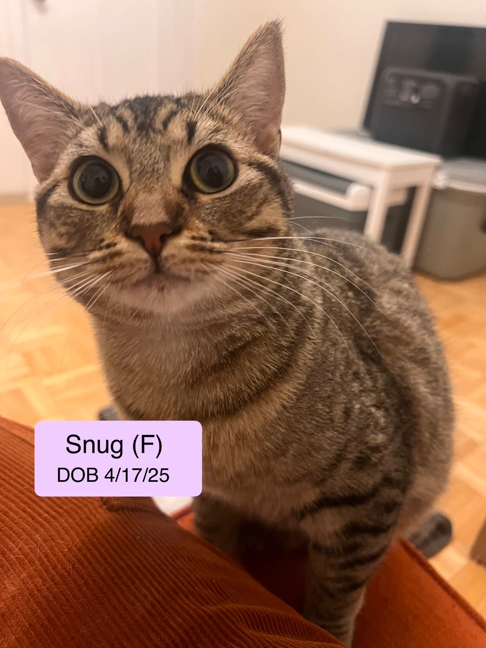 Snug