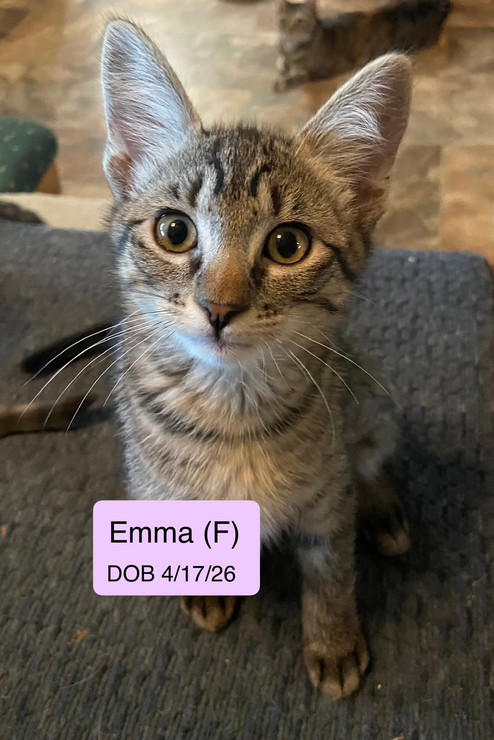 Emma