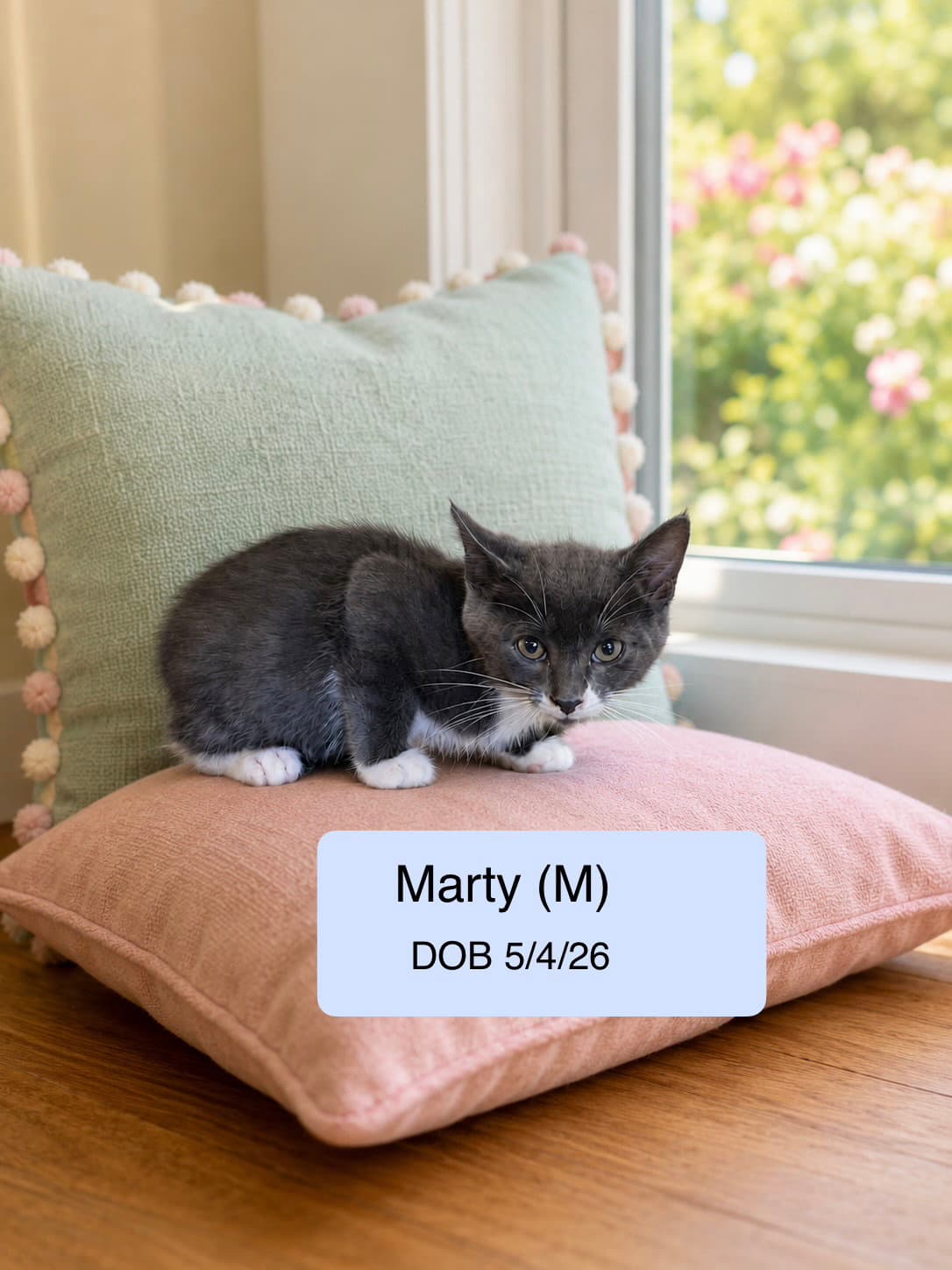 Marty