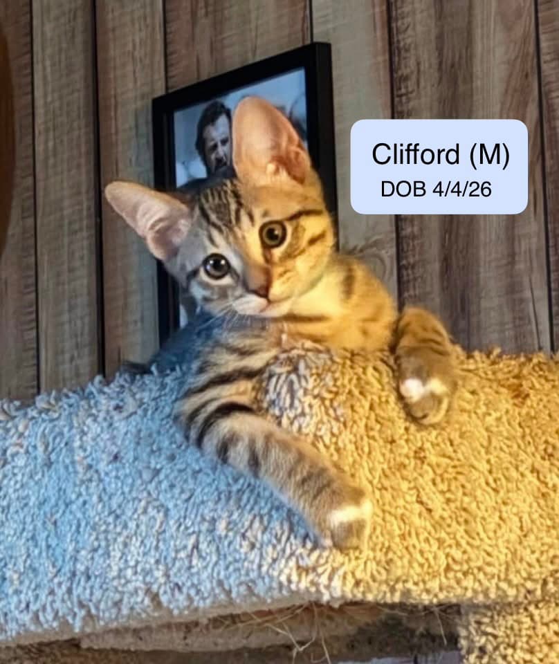 Clifford