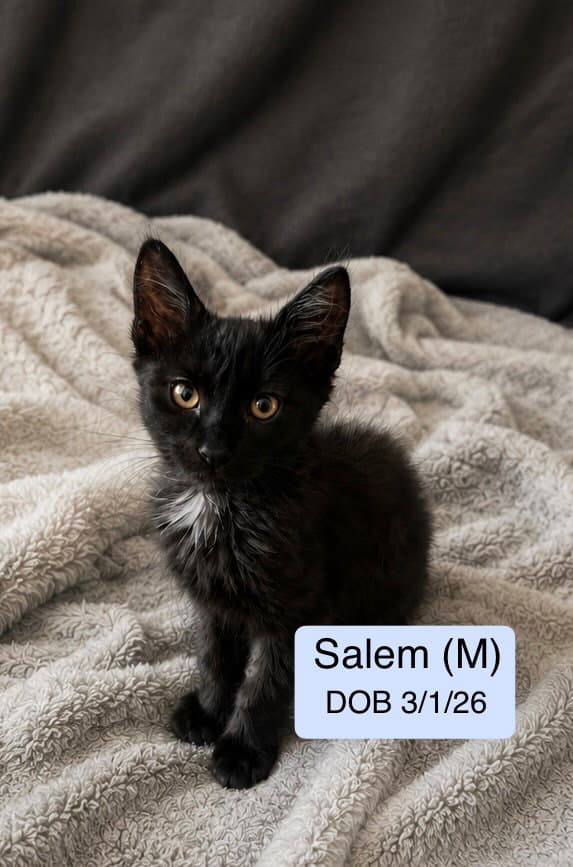 Salem