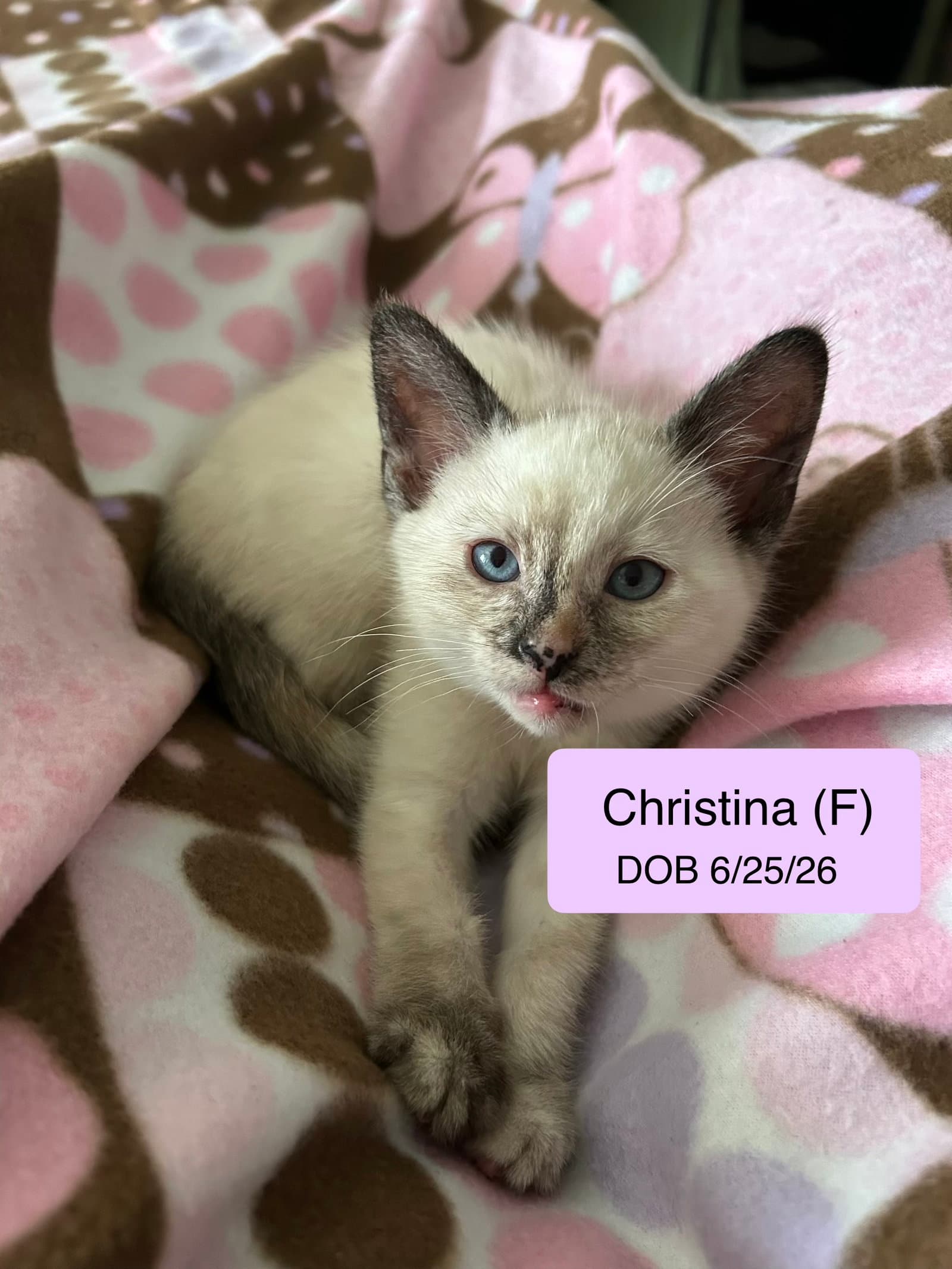 Christine