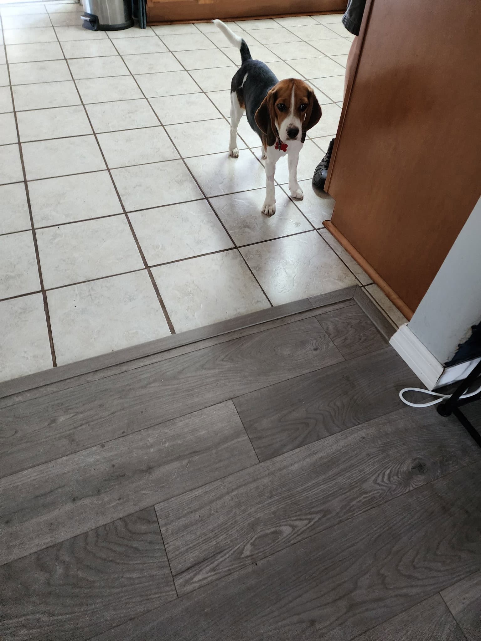 Sophia Sniffs
