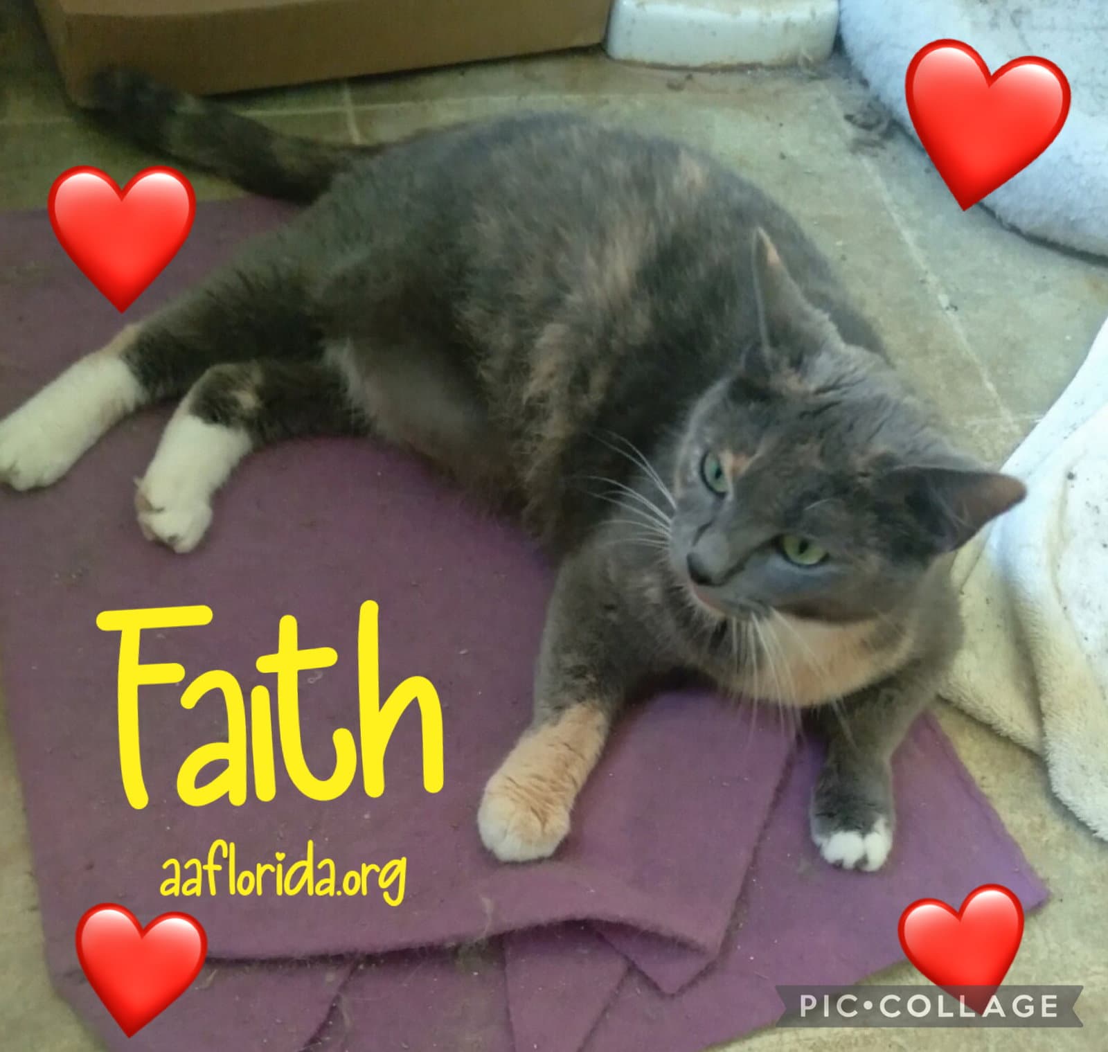 Faith