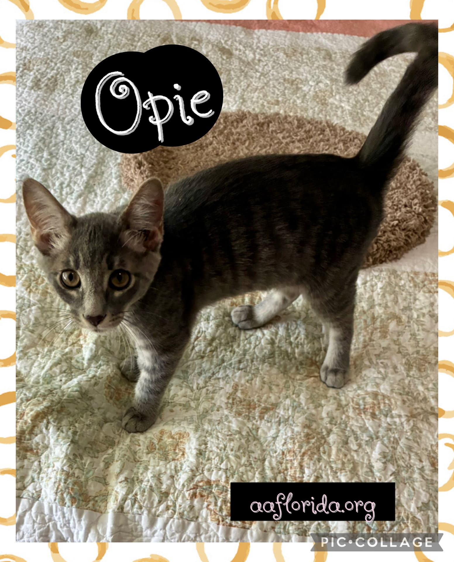 Opie