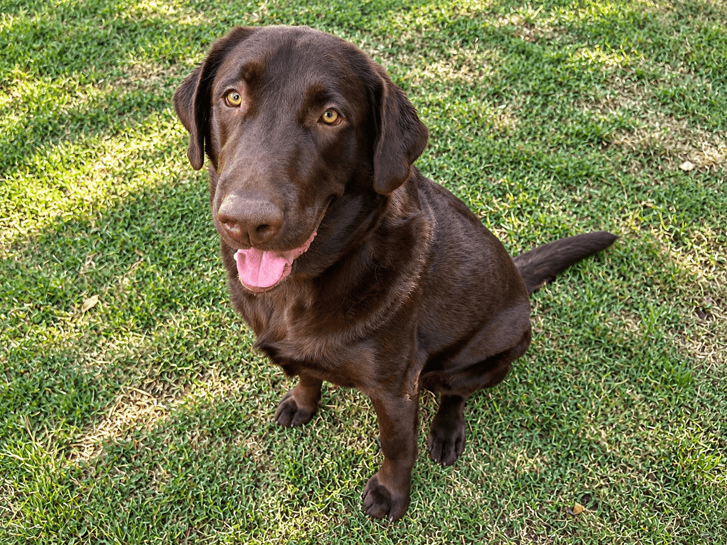 Tucker