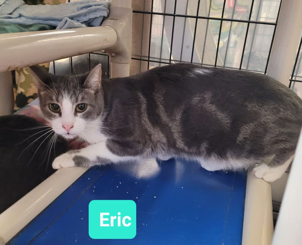 Eric