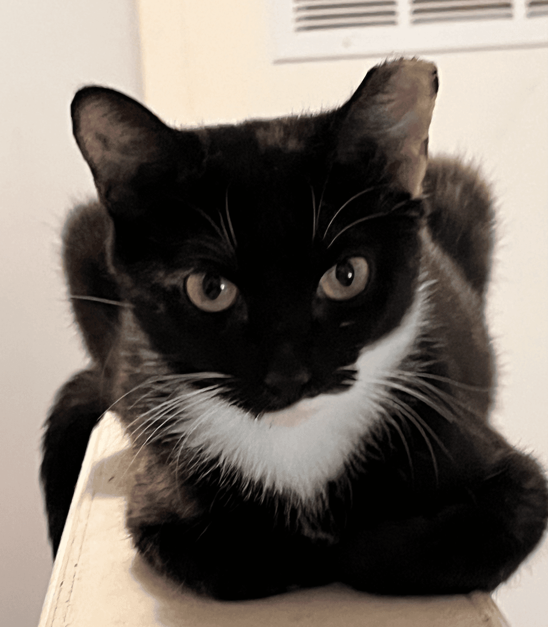 Onyx