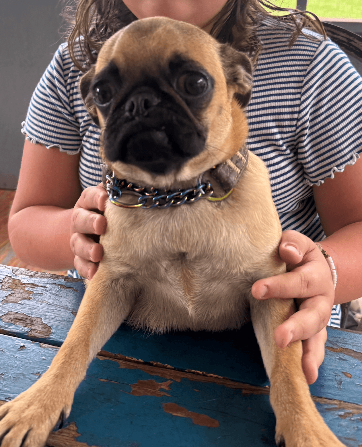 Gertie
