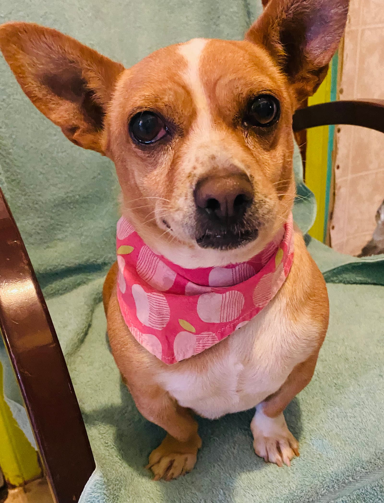Chiquita