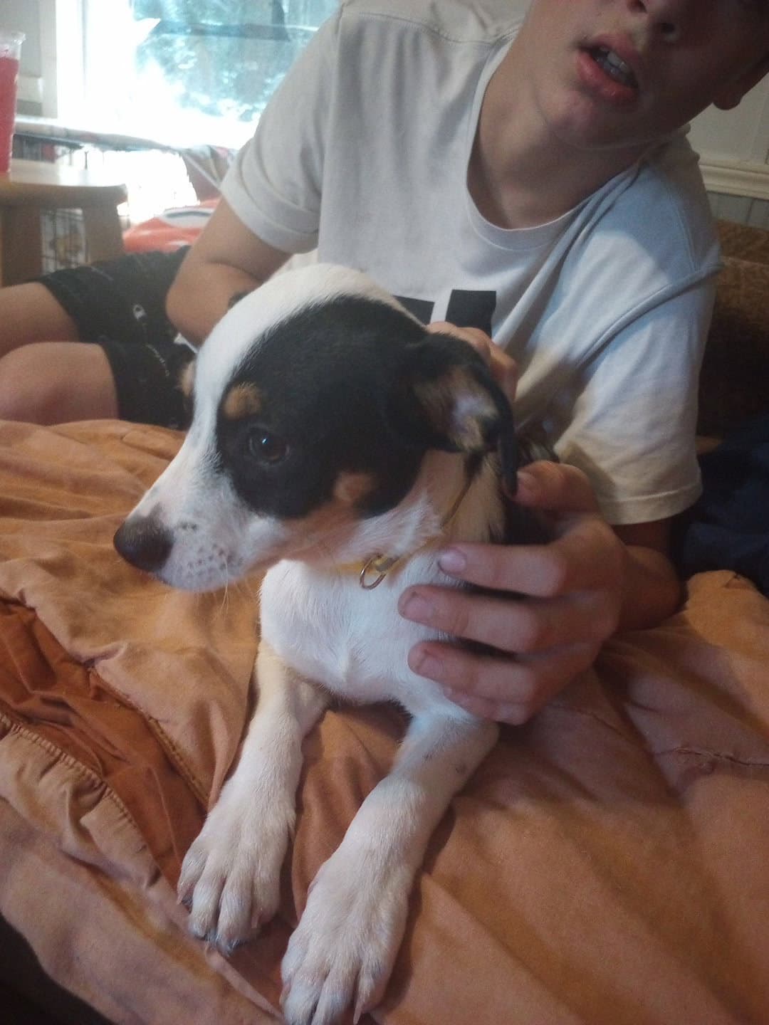 Oreo Mr.