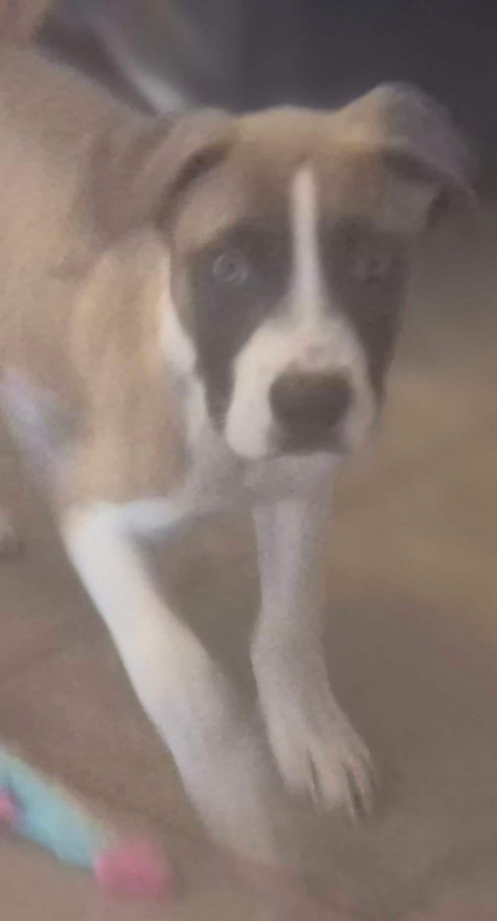 Ronan