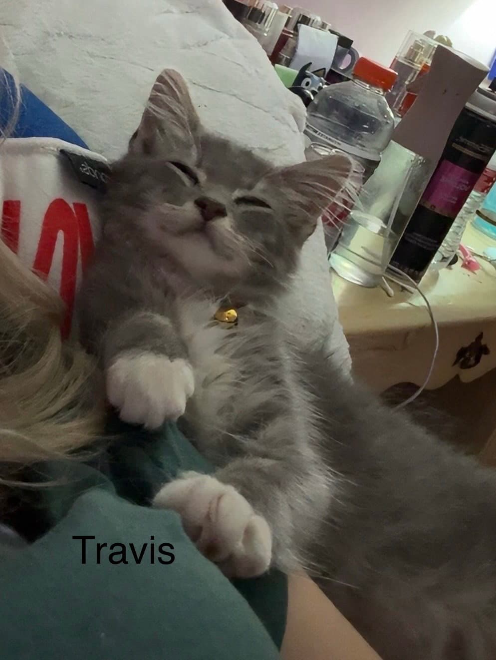 Travis
