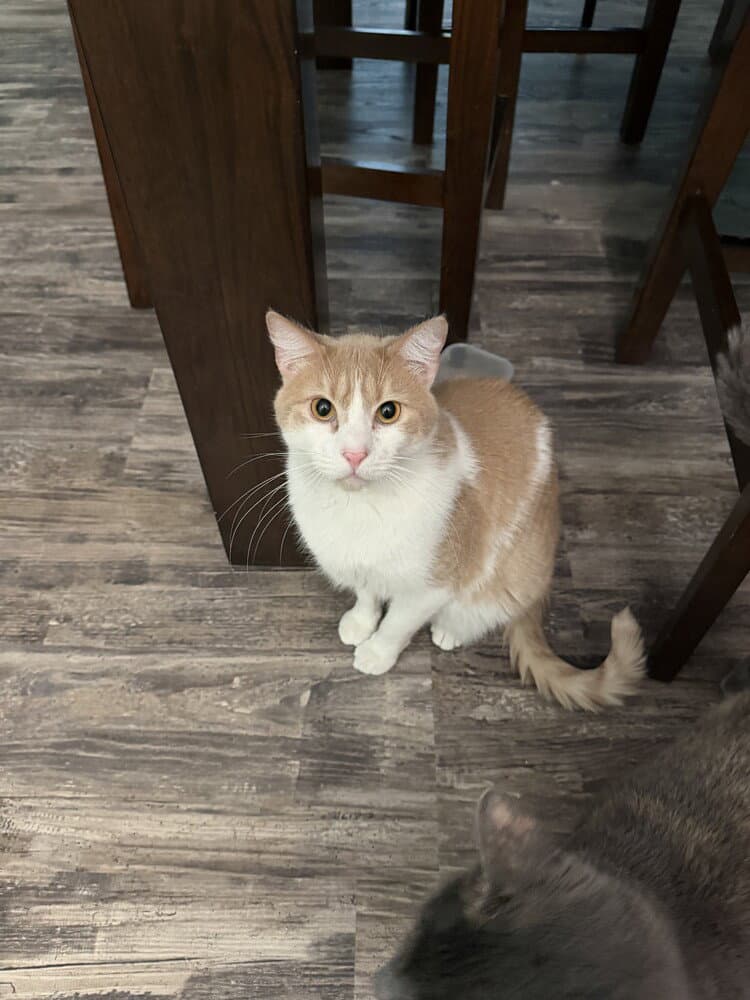 Rusty