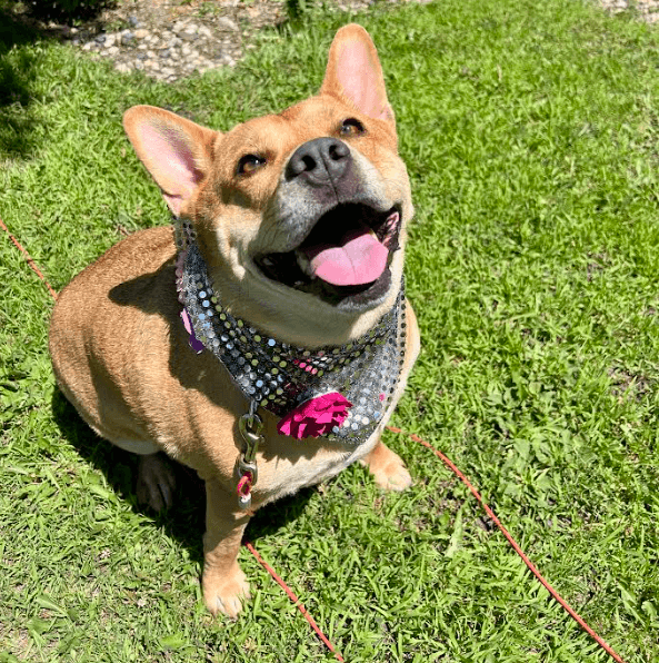 Ethel*