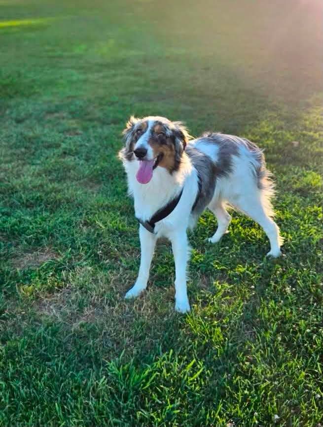 Zeke