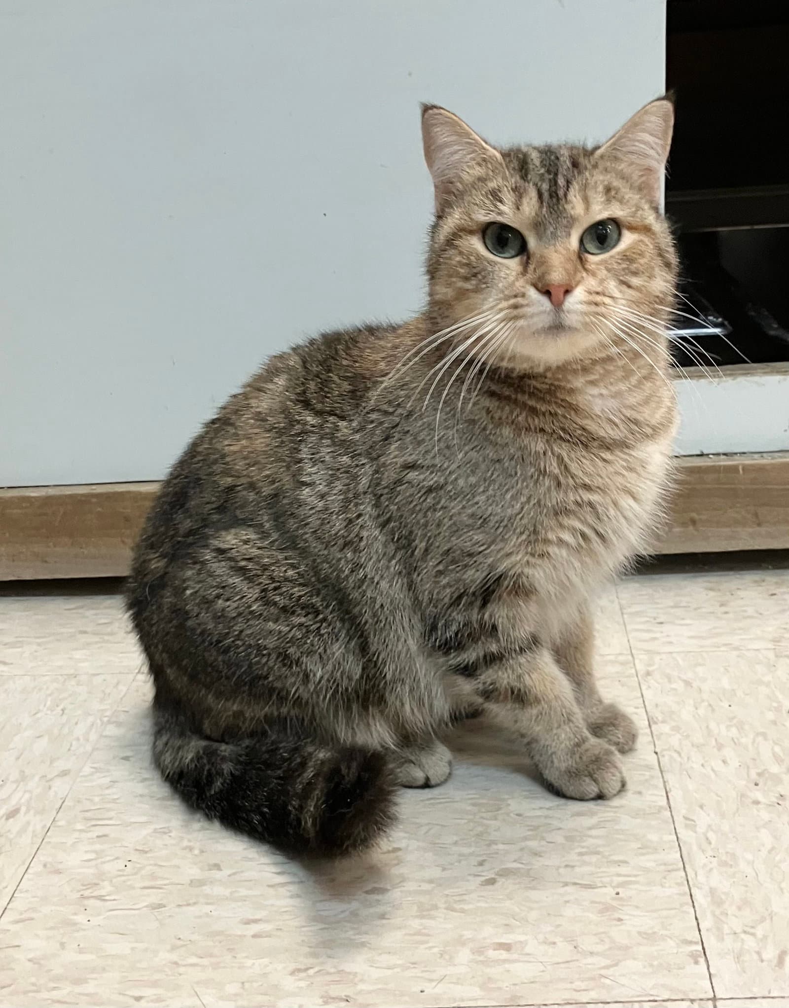 Bonnie