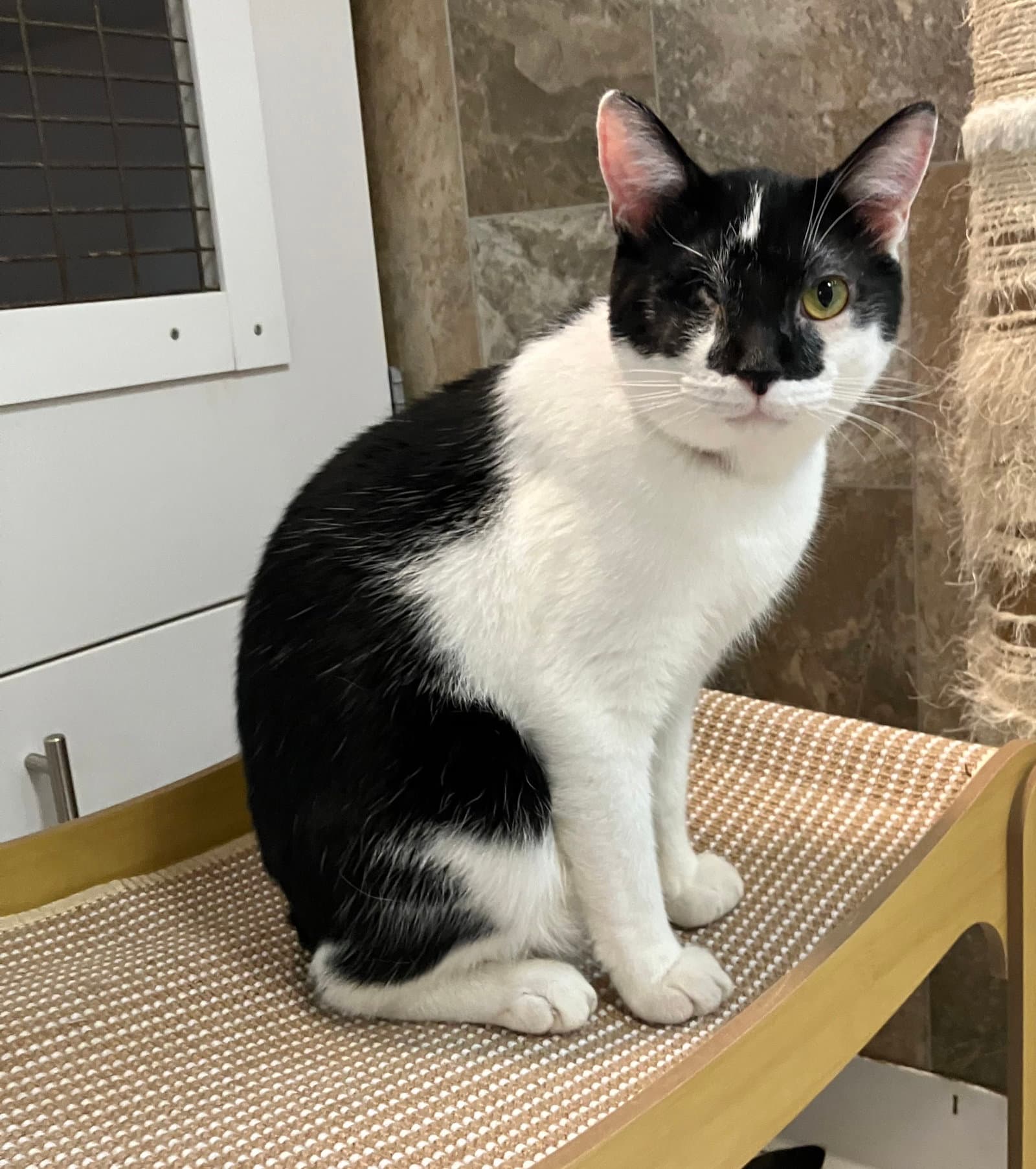 Tux