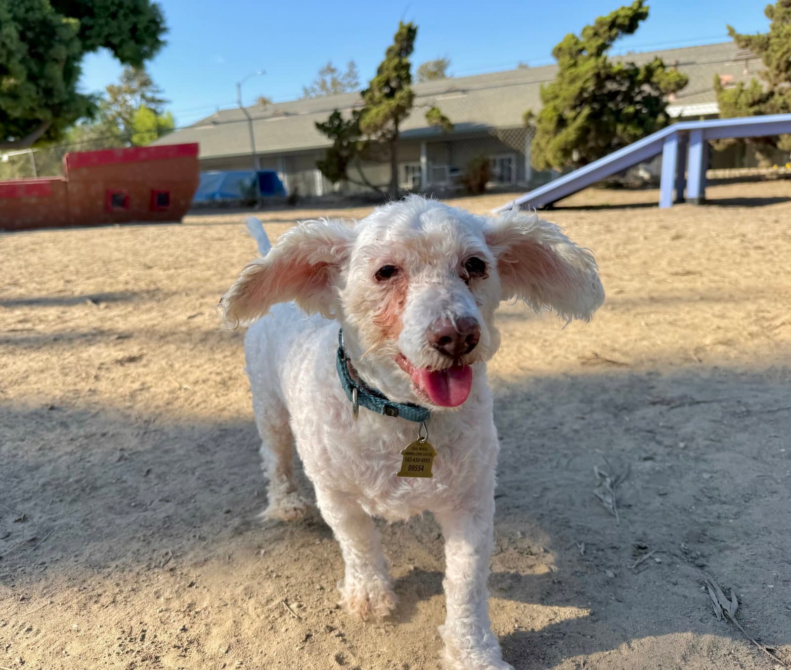 Corky