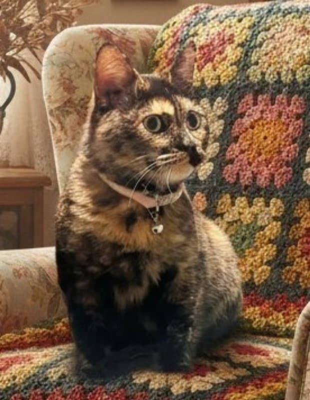 Cleo