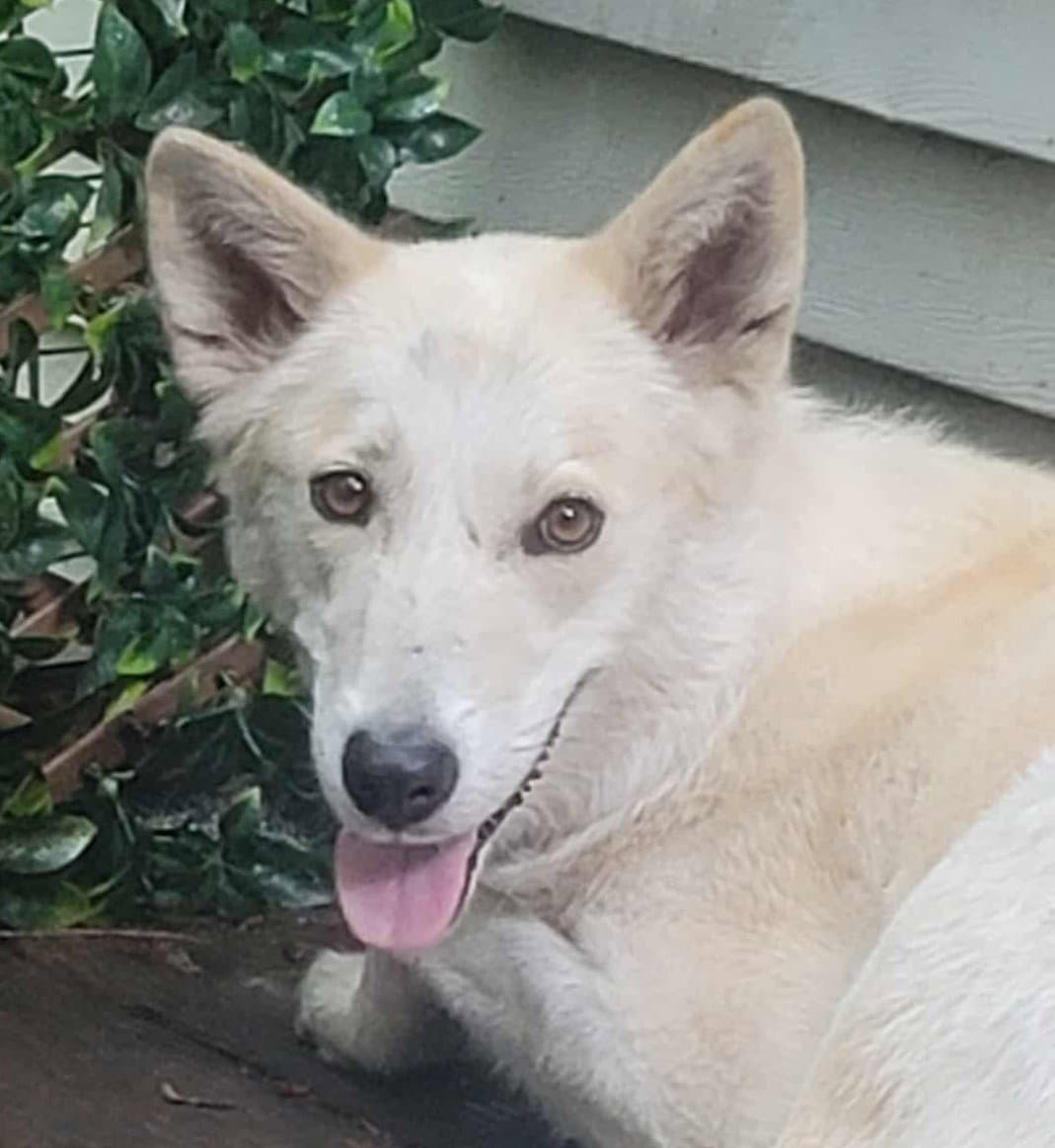 Tam