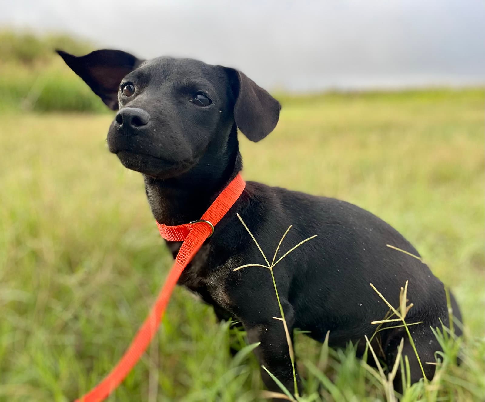 Matilda