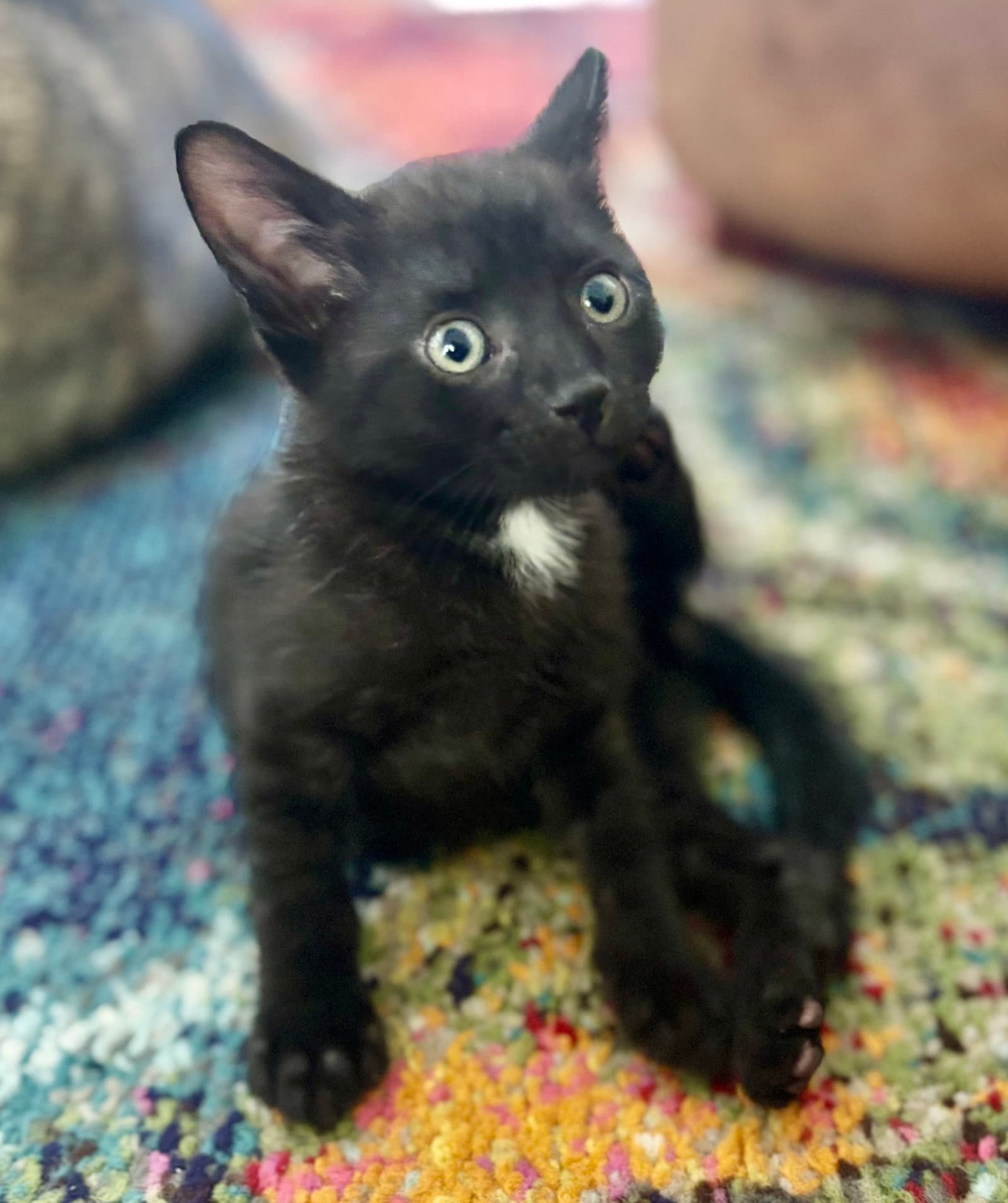 Onyx