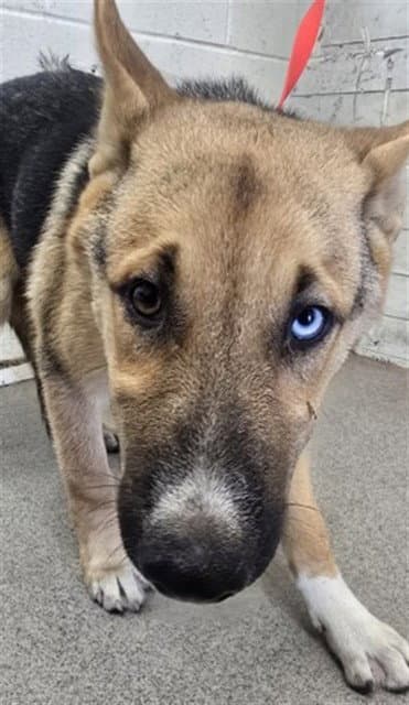 ZERO