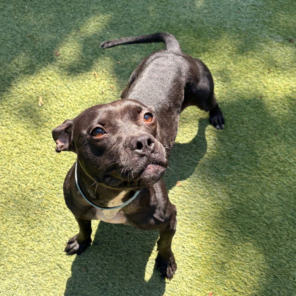 Tilly