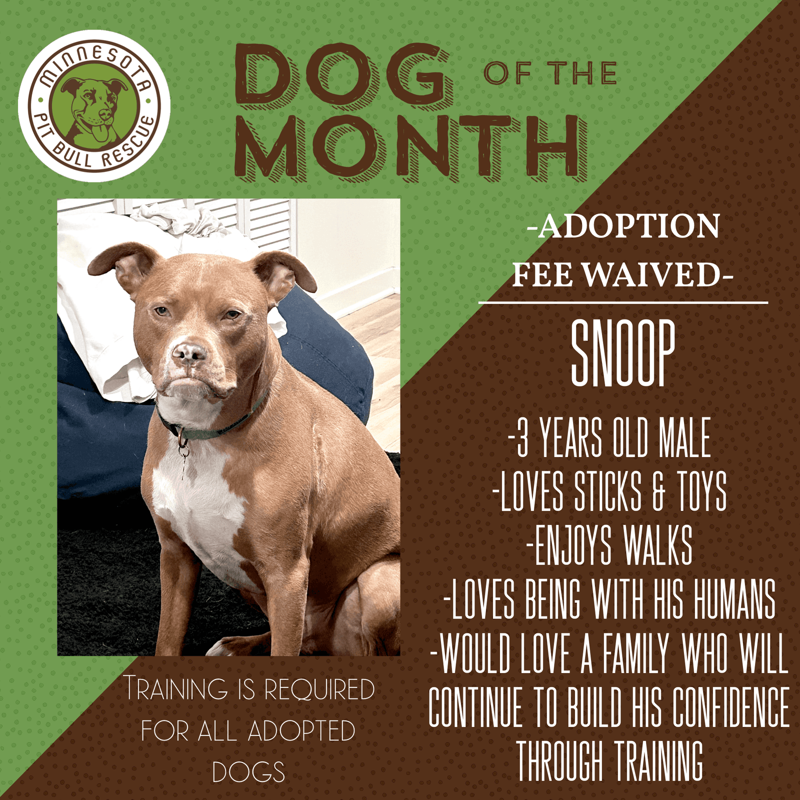 Snoop- OS *Adoption Fee Waived*
