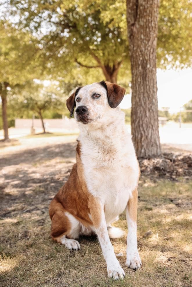 Maggie