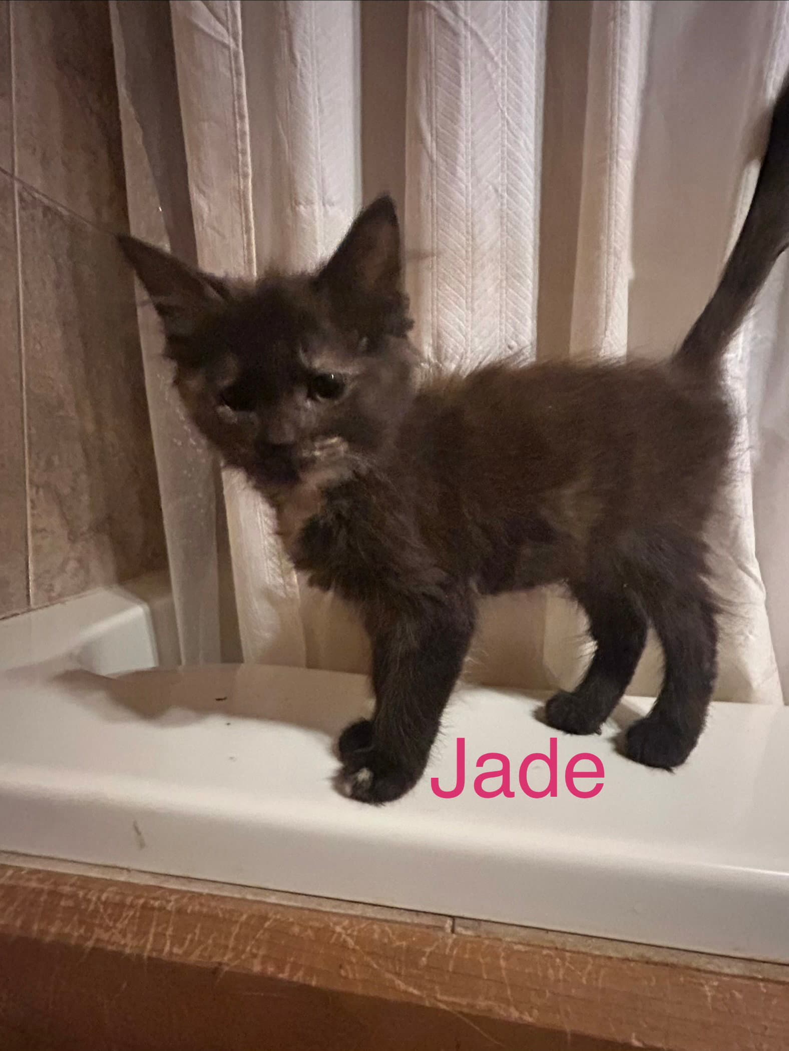 Jade
