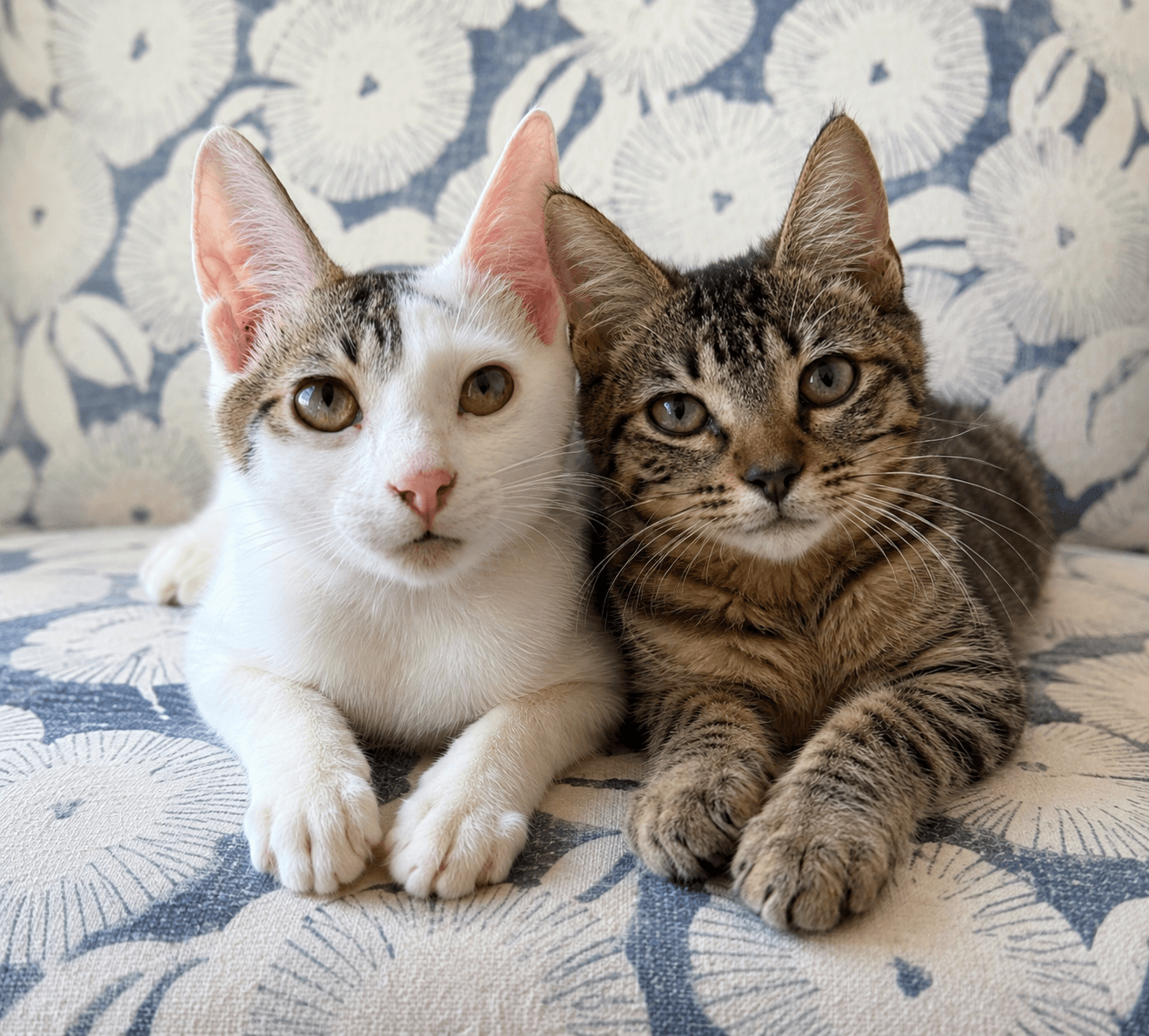 Ringo  & Georgia (siblings from Roatan)