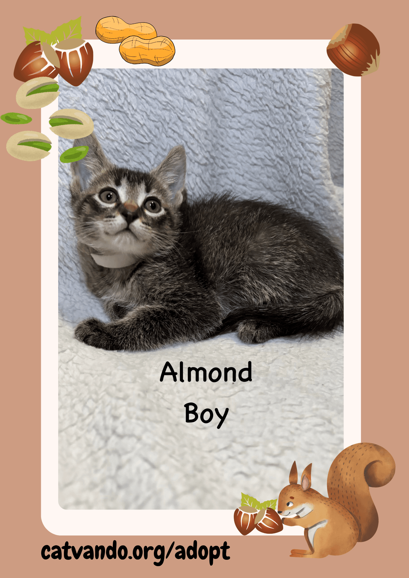 Almond