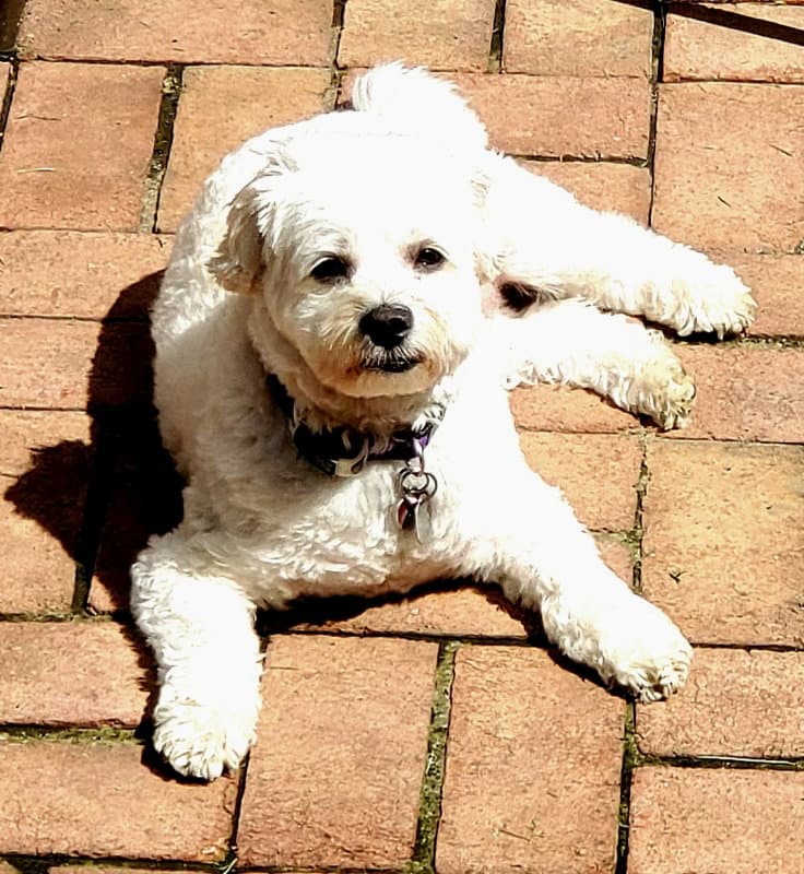 Ernie