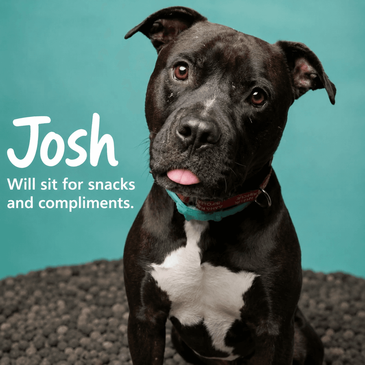 Josh