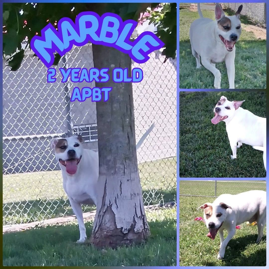 Marble