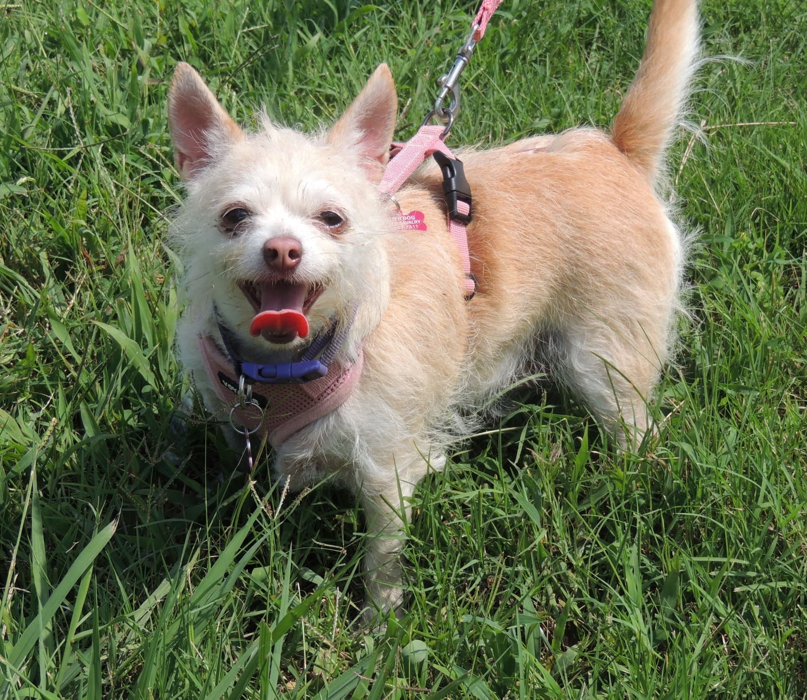 Marvelous Missy