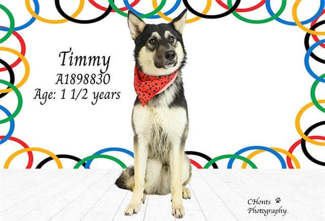 Timmy