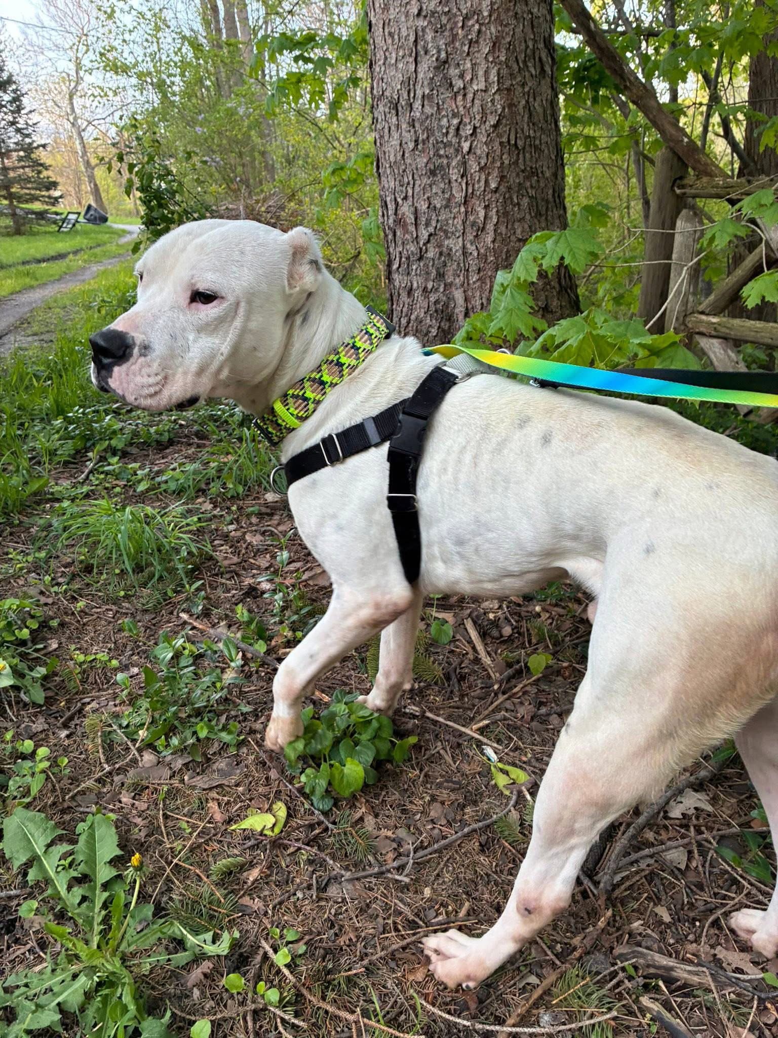 Casper